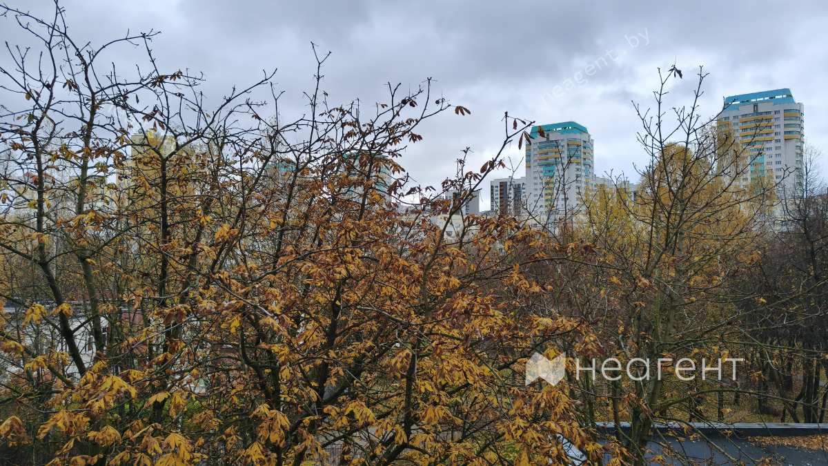 просп. газеты «Правда», дом 22, вид из окна просп. газеты «Правда», дом 22, вид из окна