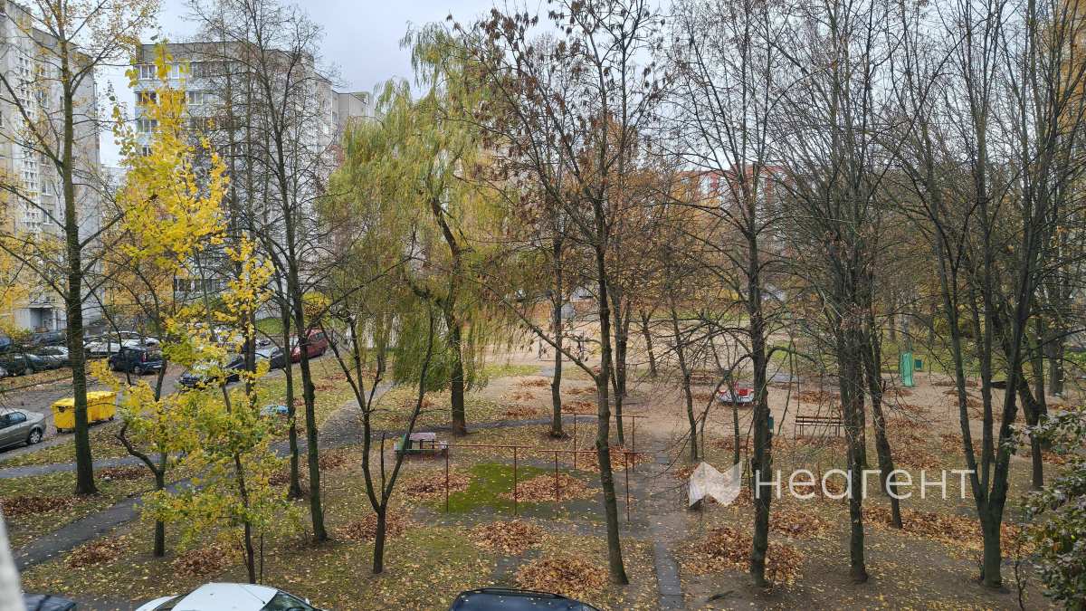 просп. Любимова, дом 12, вид из окна просп. Любимова, дом 12, вид на улицу