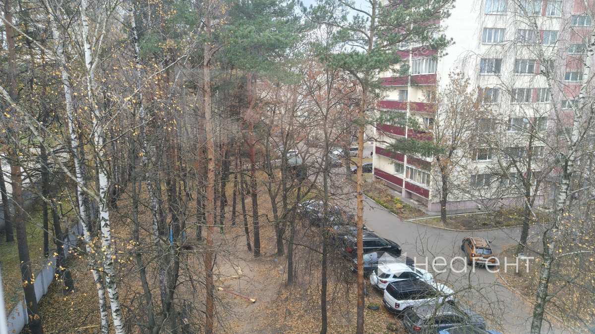 просп. Партизанский, дом 74, вид из окна