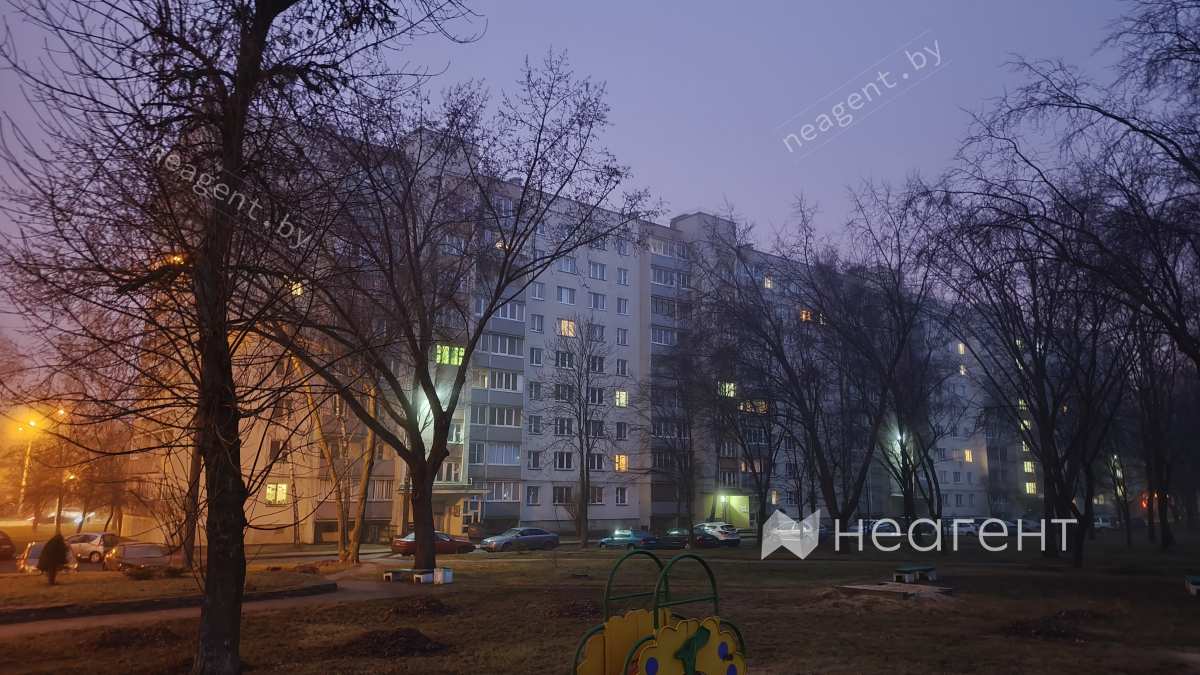 просп. Пушкина, дом 38 просп. Пушкина, дом 38