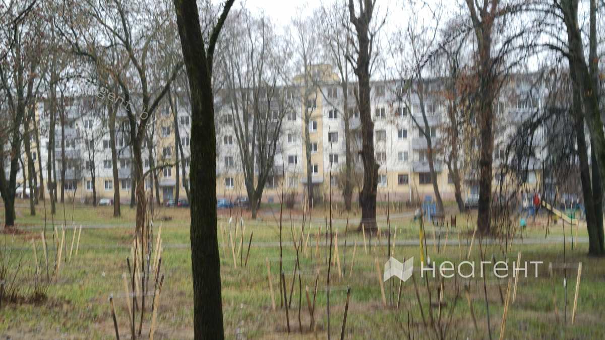 ул. Белинского, дом 6
