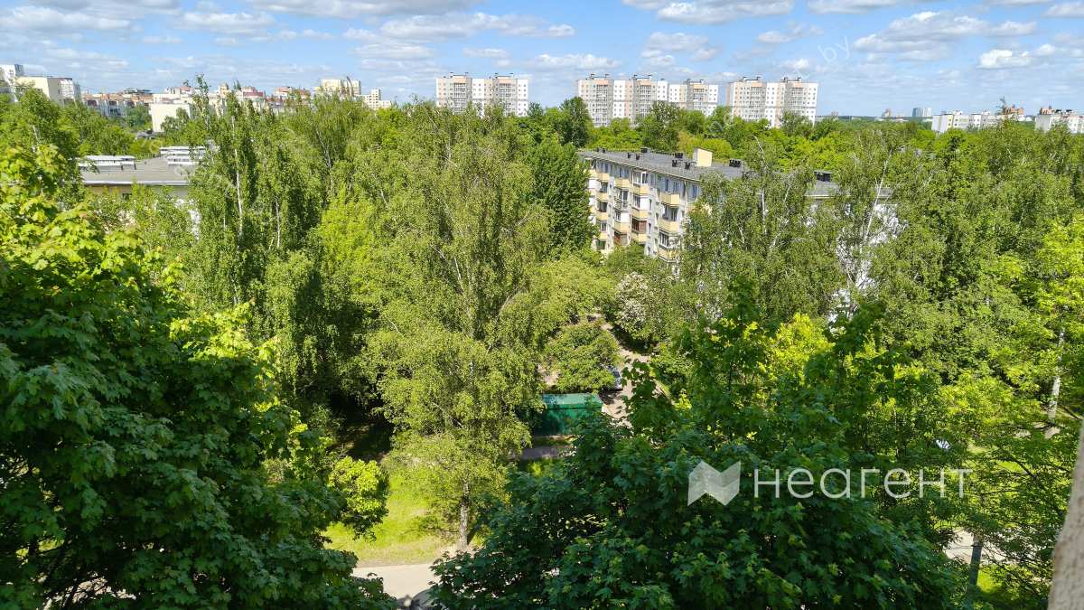 ул. Белинского, дом 9, вид из окна
