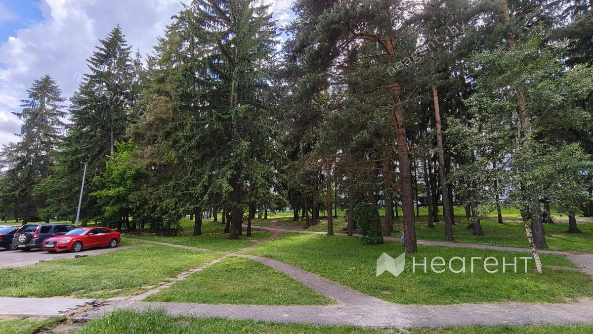 ул. Герасименко, дом 1-зелень во дворе