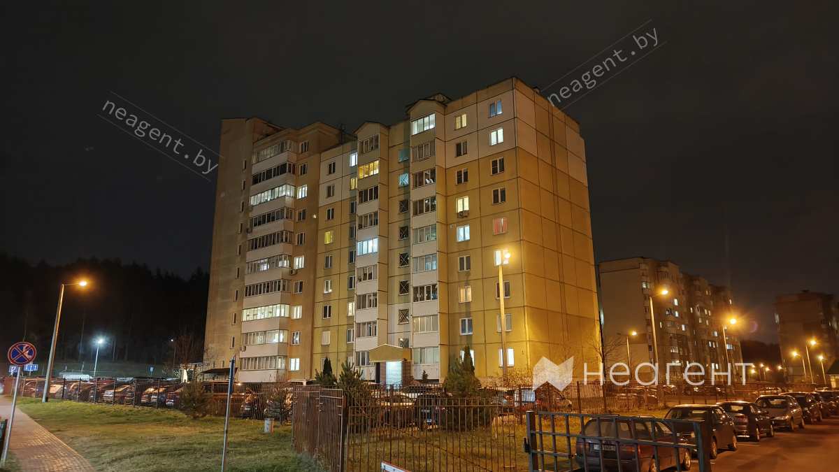 ул. Лопатина, дом 1, Копище