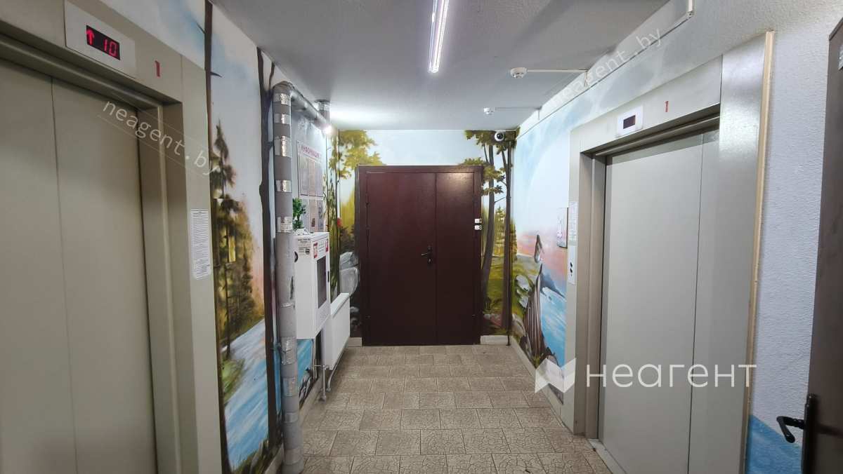 Минск, ул. Михаила Пташука, дом 9, подъезд
