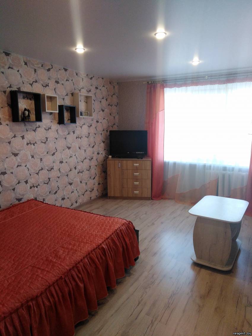 1-комнатная квартира, Ленина, 36, 35 рублей: фото 1
