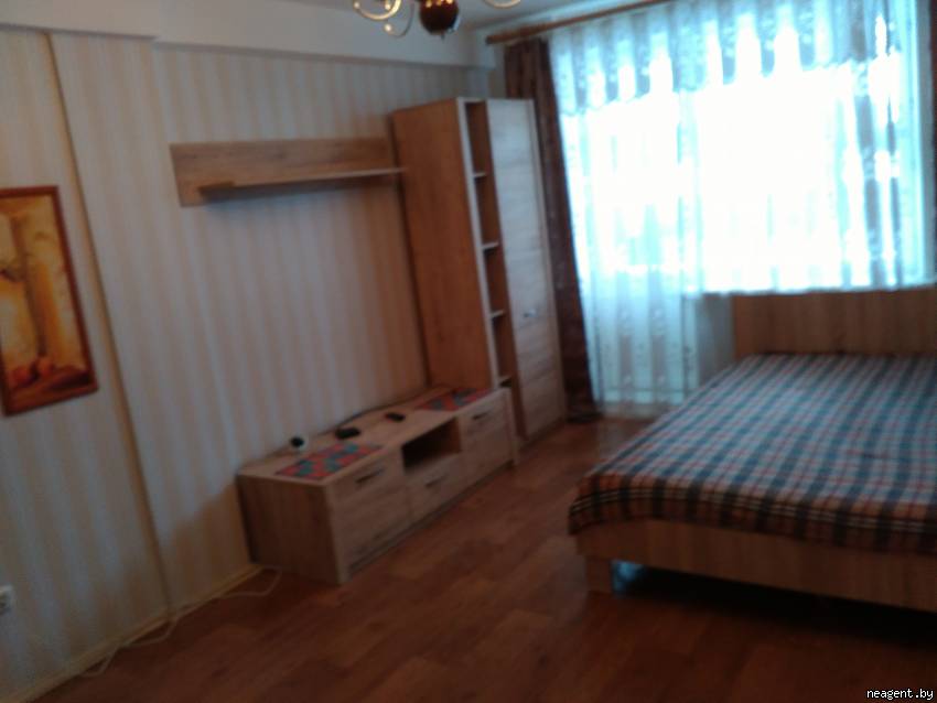 1-комнатная квартира, Академика Карского, 5, 509 рублей: фото 3