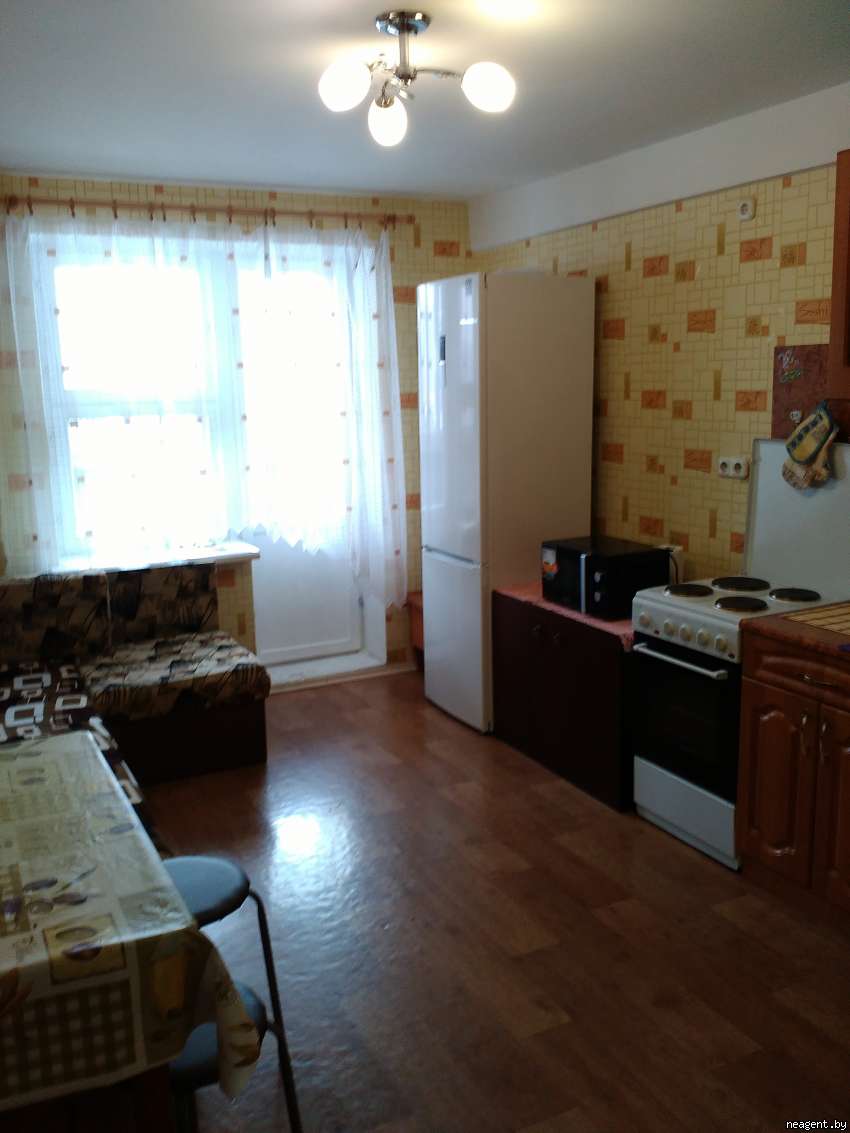 1-комнатная квартира, Академика Карского, 5, 509 рублей: фото 4