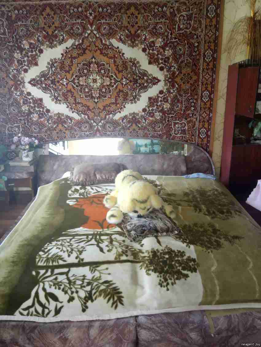 Дом, ул. Центральная, 44, 40 рублей: фото 11