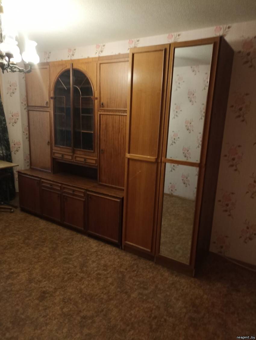 1-комнатная квартира, ул. Притыцкого, 106, 600 рублей: фото 5