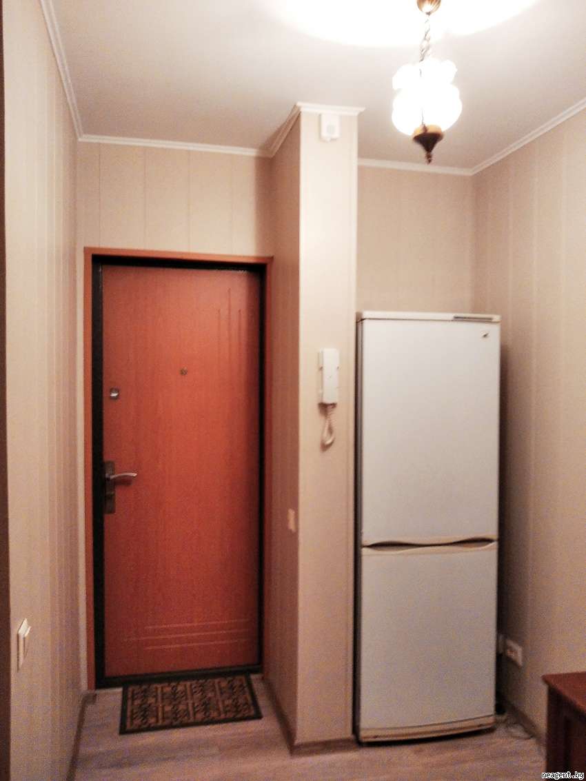 1-комнатная квартира, Пушкина просп., 5, 731 рублей: фото 12