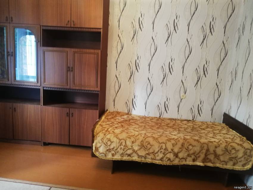 1-комнатная квартира, Партизанский просп., 29а, 480 рублей: фото 3