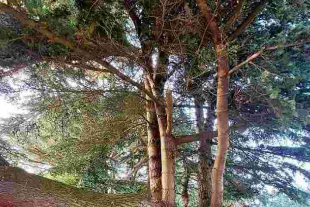 Коттедж, Загорье (Плещеницы), Ленина ул., за 0 р.