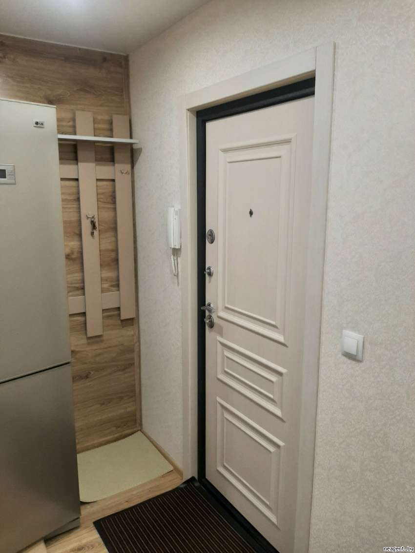 1-комнатная квартира, Пушкина просп., 45, 860 рублей: фото 2