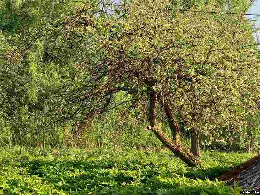 Дом, ул. Радошковичская, 4, 34777 рублей: фото 5