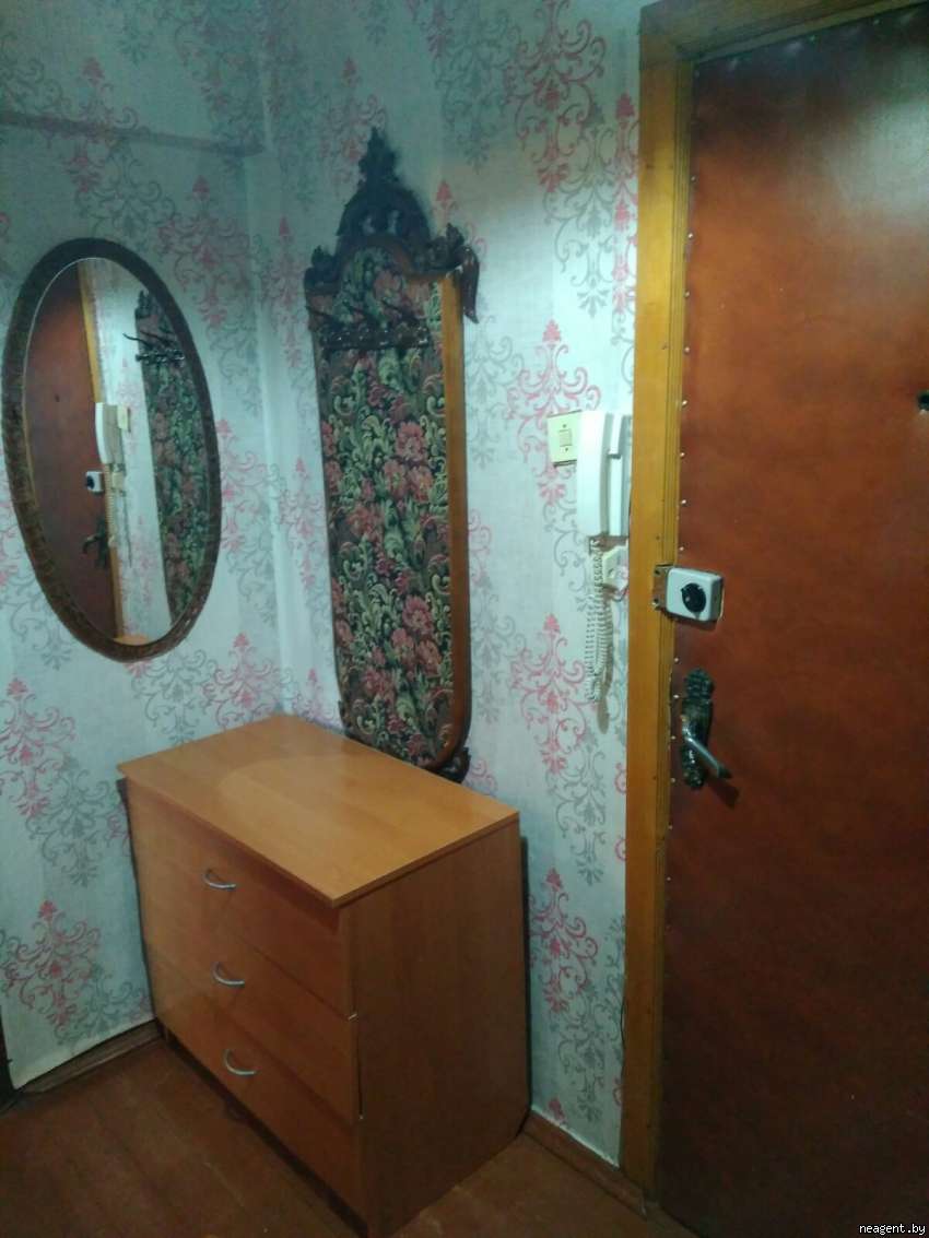 1-комнатная квартира, проспект Пушкина, 30, 500 рублей: фото 4