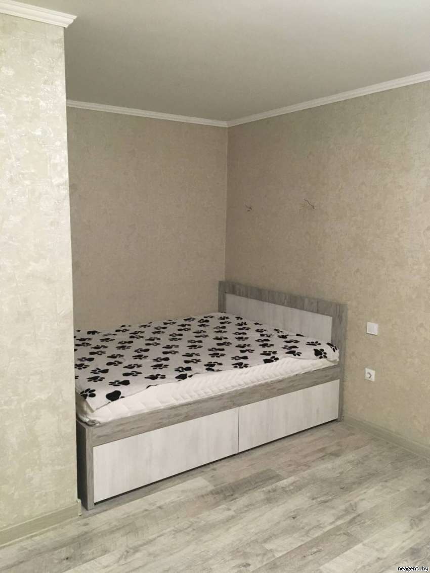1-комнатная квартира, Притыцкого, 89, 100 рублей: фото 1