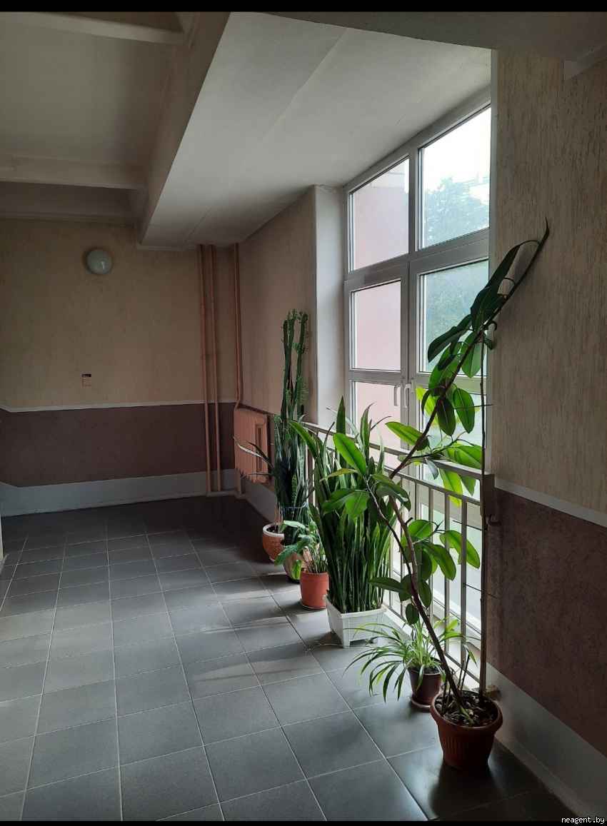 1-комнатная квартира, ул. Грибоедова, 10, 1200 рублей: фото 11