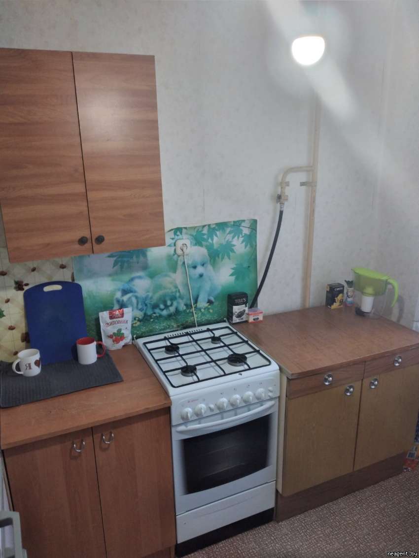 1-комнатная квартира, Грибной пер., 28, 104793 рублей: фото 6