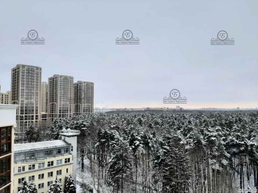 1-комнатная квартира, Независимости просп., 88, 1257 рублей: фото 14