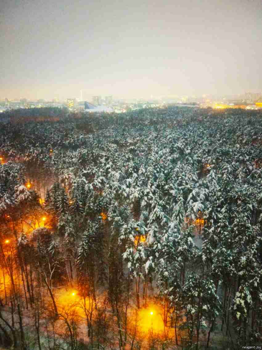 2-комнатная квартира, ул. Макаенка, 12/К, 1290 рублей: фото 9
