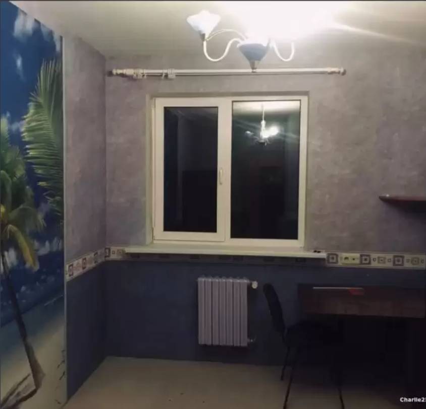 1-комнатная квартира, Лукьяновича, 31, 342 рублей: фото 4
