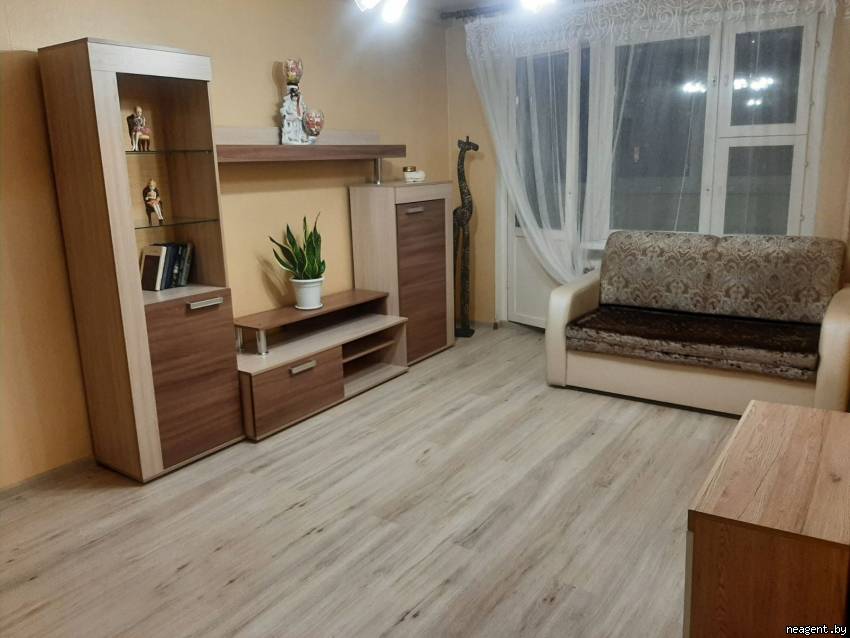 1-комнатная квартира, Пушкина просп., 36, 754 рублей: фото 4