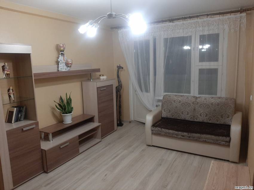 1-комнатная квартира, Пушкина просп., 36, 754 рублей: фото 6