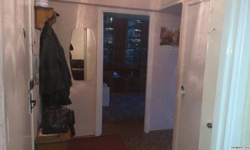 3-комнатная квартира, Пушкина просп., 13, 184966 рублей: фото 15