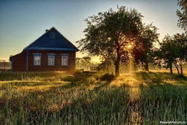Поиск коттеджа, Столбцы за 600 р.
