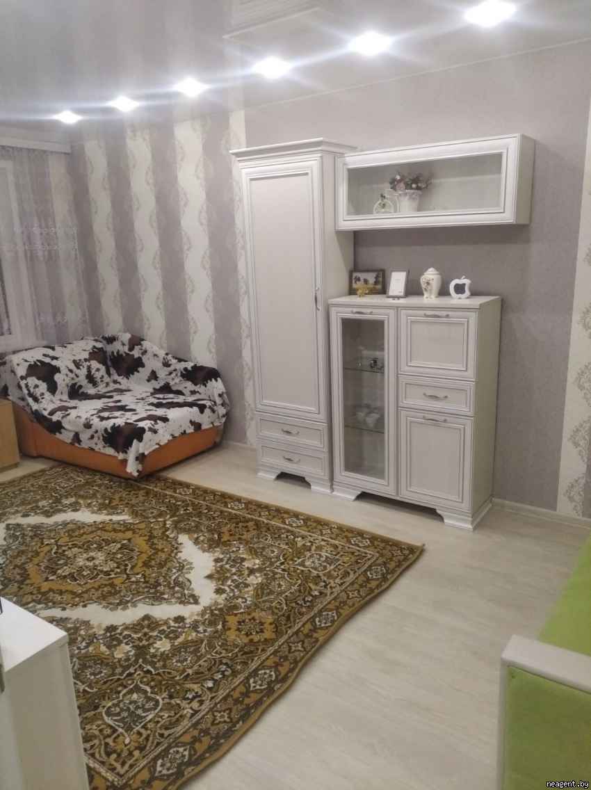1-комнатная квартира, Логойский тракт, 39, 270 рублей: фото 2