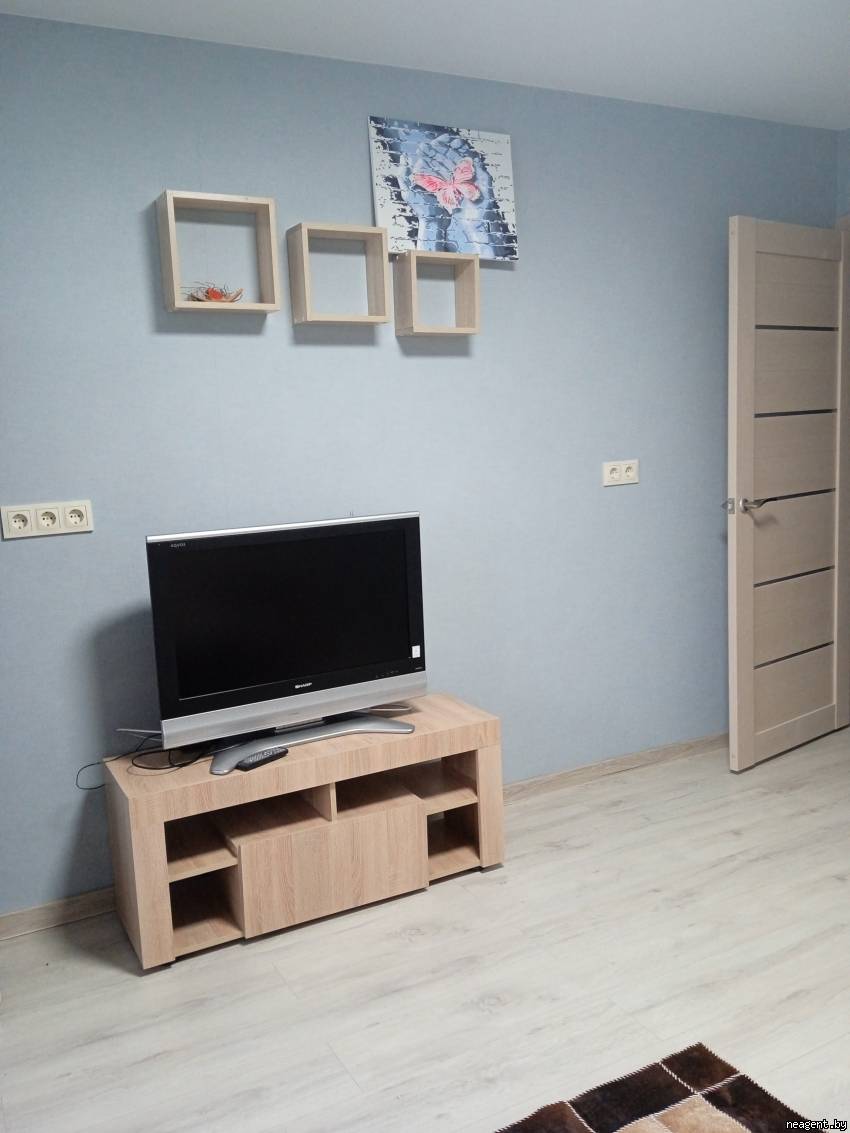 1-комнатная квартира, ул. Толстого, 4, 80 рублей: фото 4