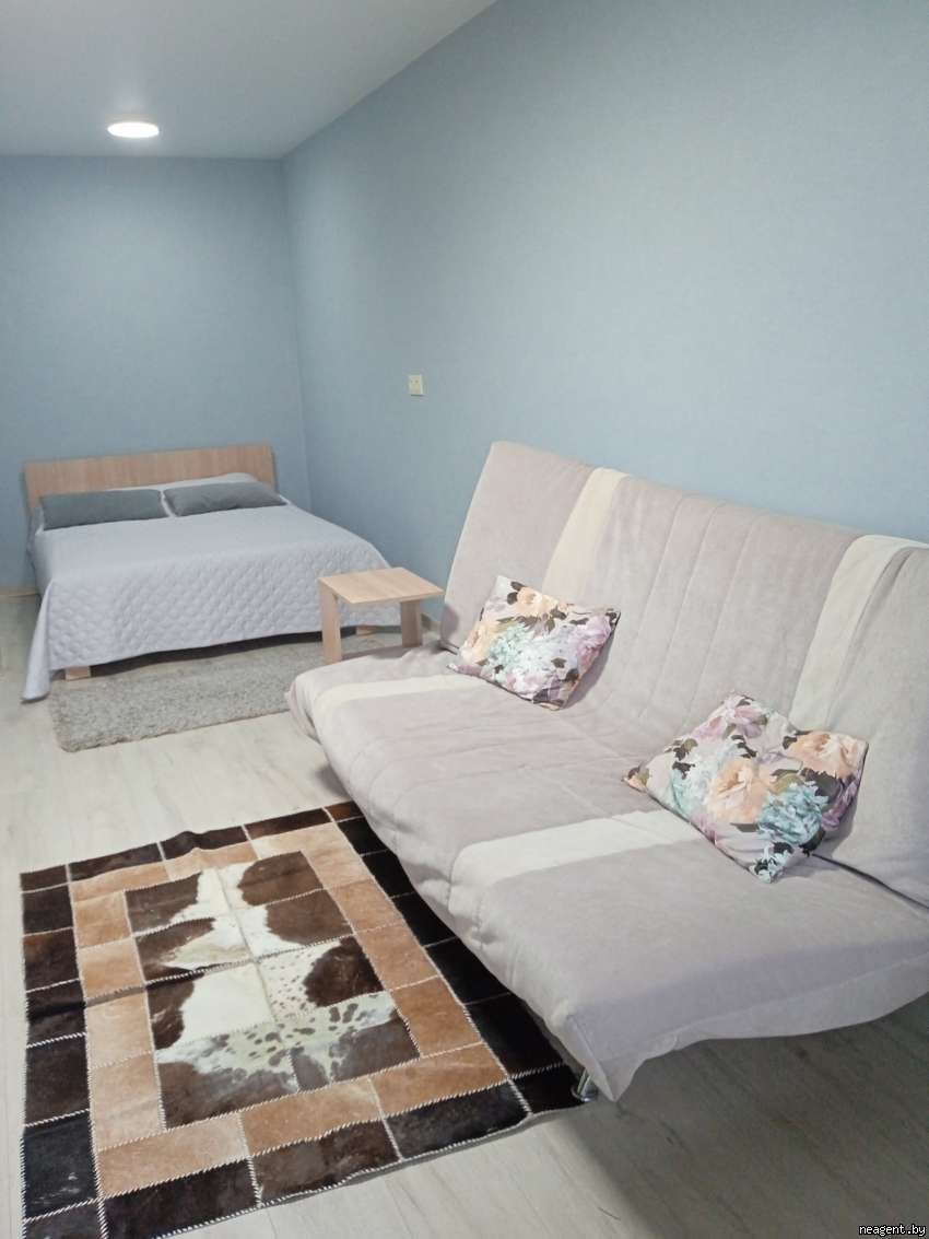 1-комнатная квартира, ул. Толстого, 4, 80 рублей: фото 1