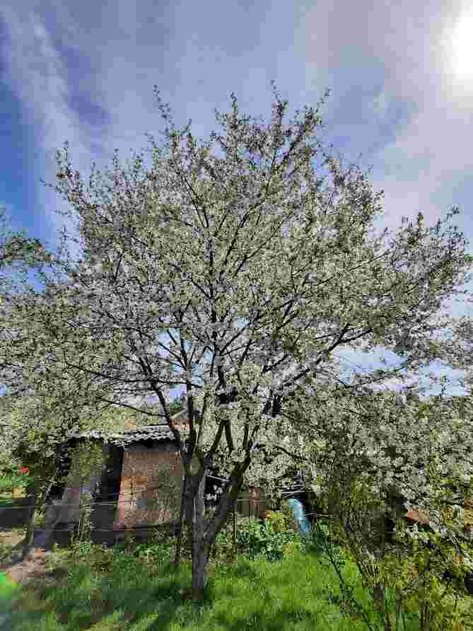 Дом, , 16000 рублей: фото 11