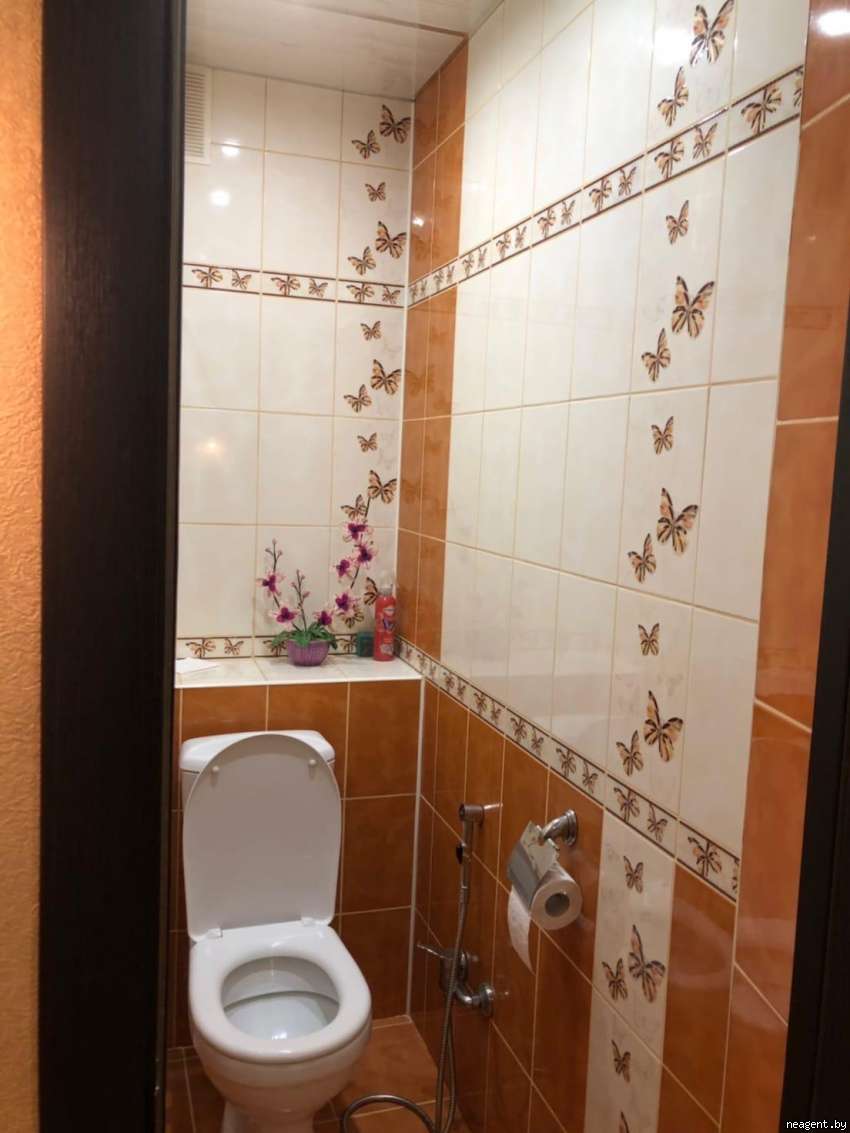1-комнатная квартира, Ленина проспект, 5, 280 рублей: фото 5