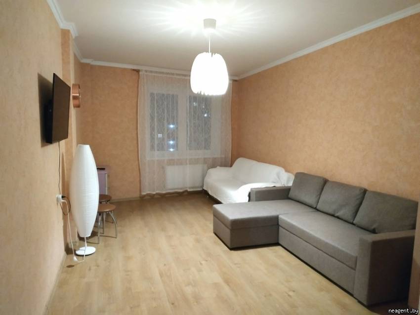1-комнатная квартира, ул. Яна Чечота, 7, 1020 рублей: фото 3