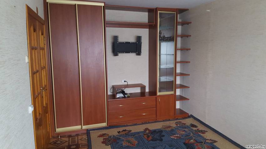 1-комнатная квартира, пр-т Пушкина, 91, 870 рублей: фото 1