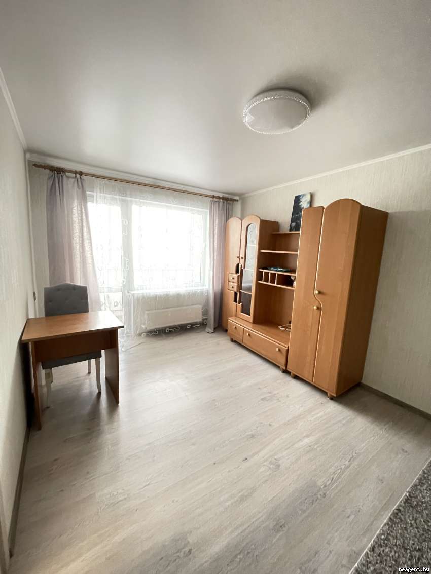 1-комнатная квартира, Пушкина просп., 91, 895 рублей: фото 3