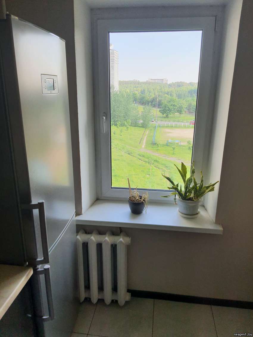 1-комнатная квартира, Шугаева, 11, 950 рублей: фото 4
