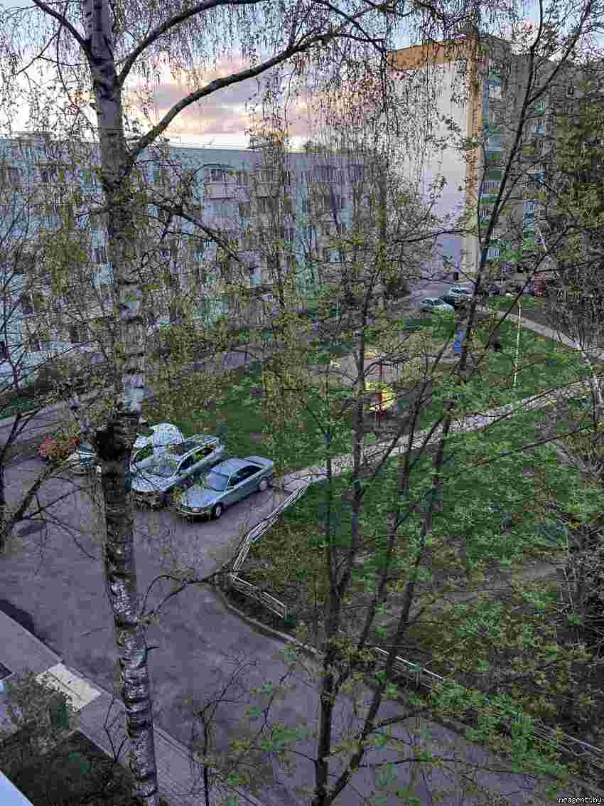 1-комнатная квартира, ул. Беляева, 9, 780 рублей: фото 23