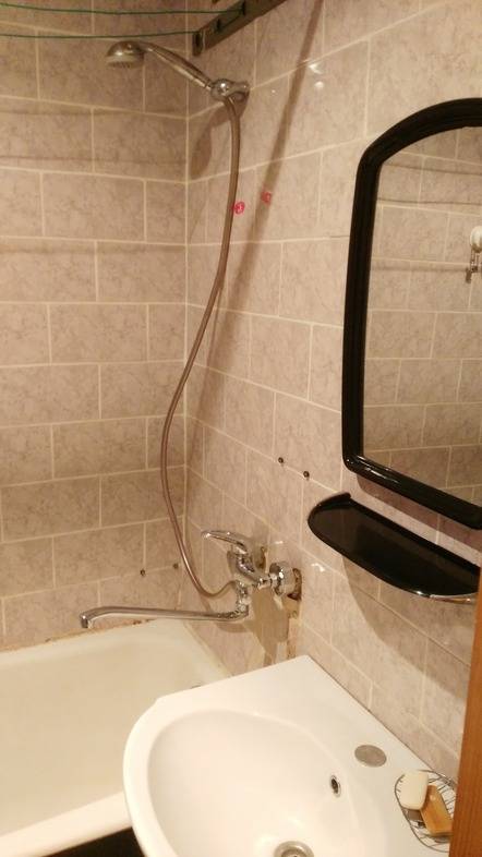 1-комнатная квартира, Руссиянова, 24, 890 рублей: фото 7