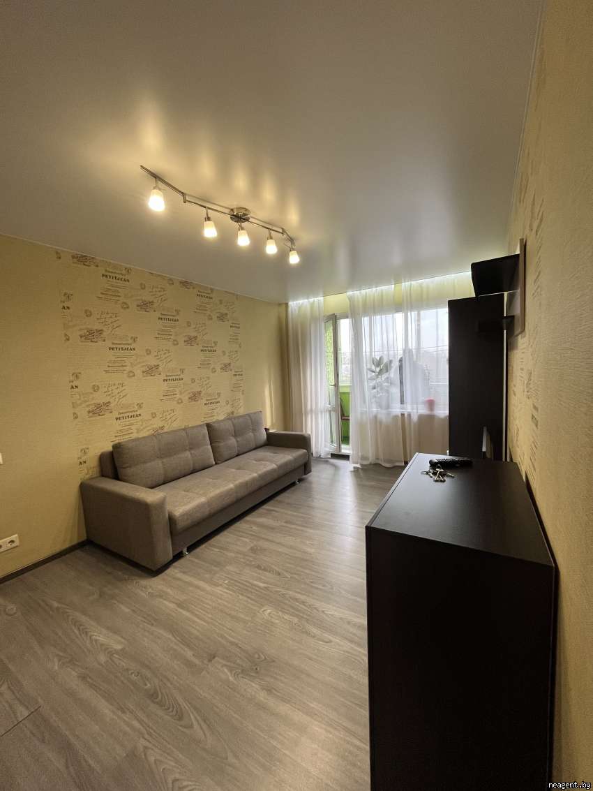 1-комнатная квартира, Притыцкого, 17, 1060 рублей: фото 2