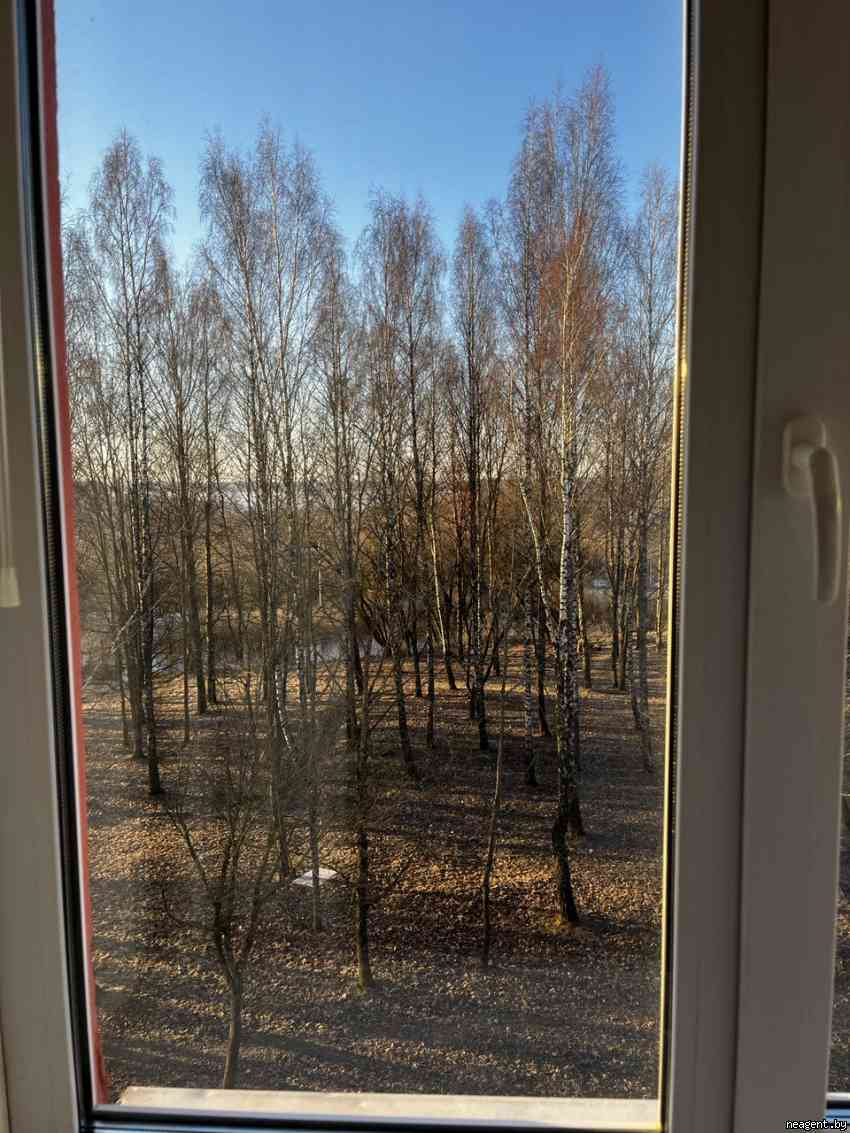 2-комнатная квартира, Юбилейная, 2, 86819 рублей: фото 5