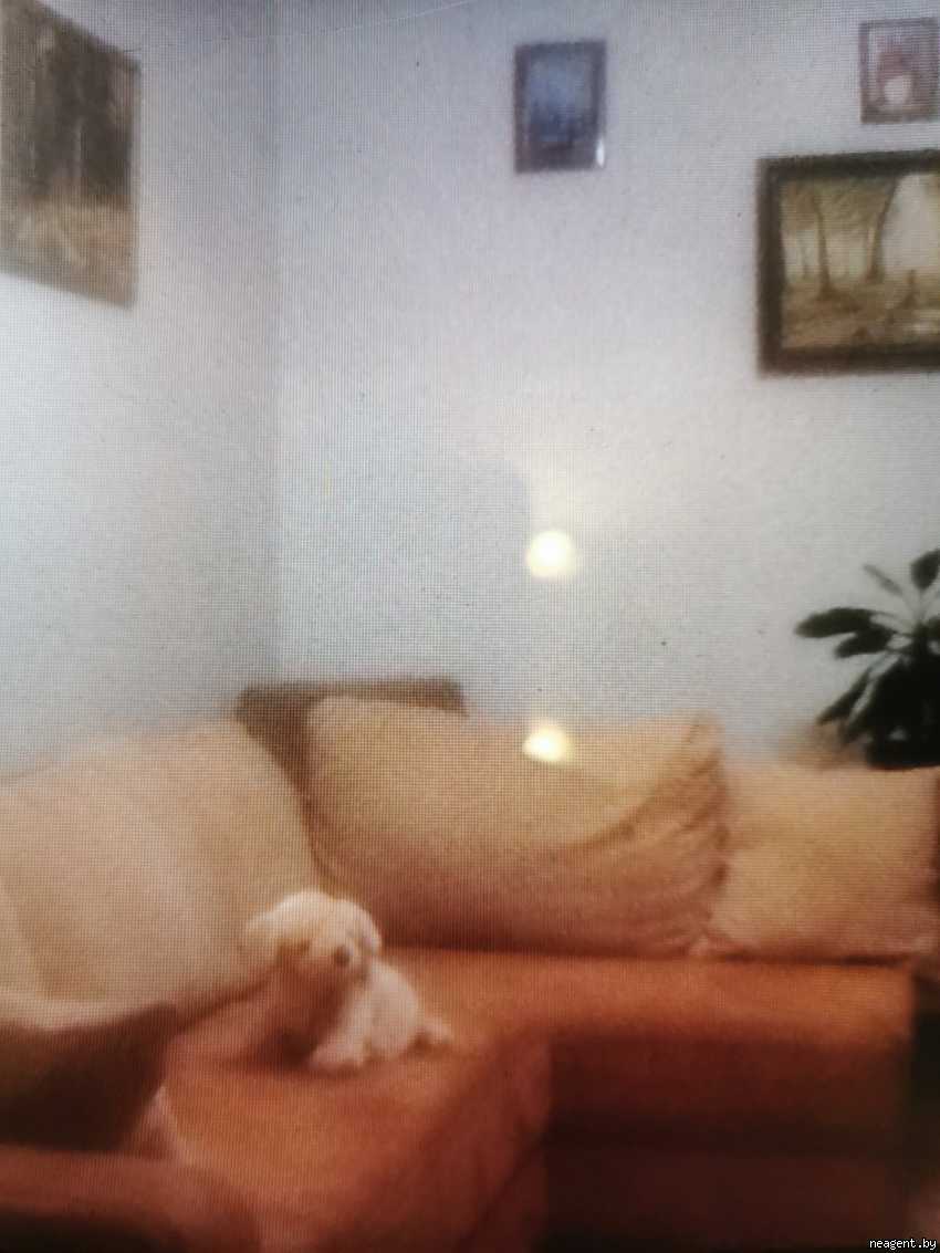 Комната, Ул. Лобанка, 109/-, 420 рублей: фото 4