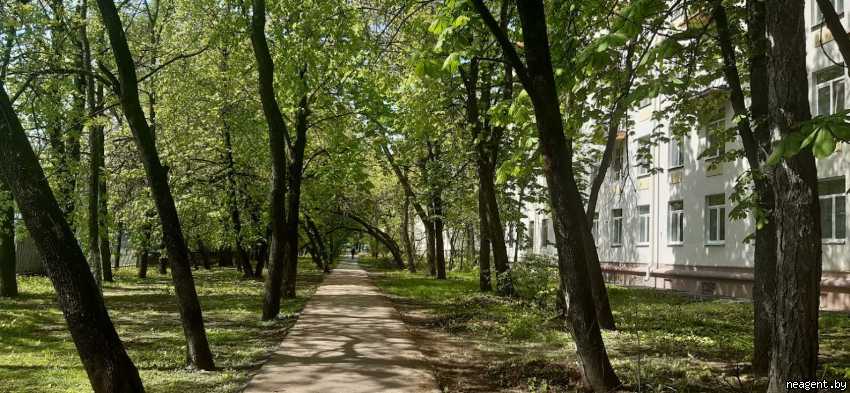 2-комнатная квартира, Независимости просп., 78/А, 1588 рублей: фото 9