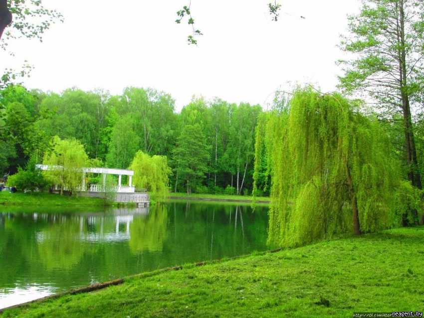 2-комнатная квартира, Независимости просп., 78/А, 1588 рублей: фото 15