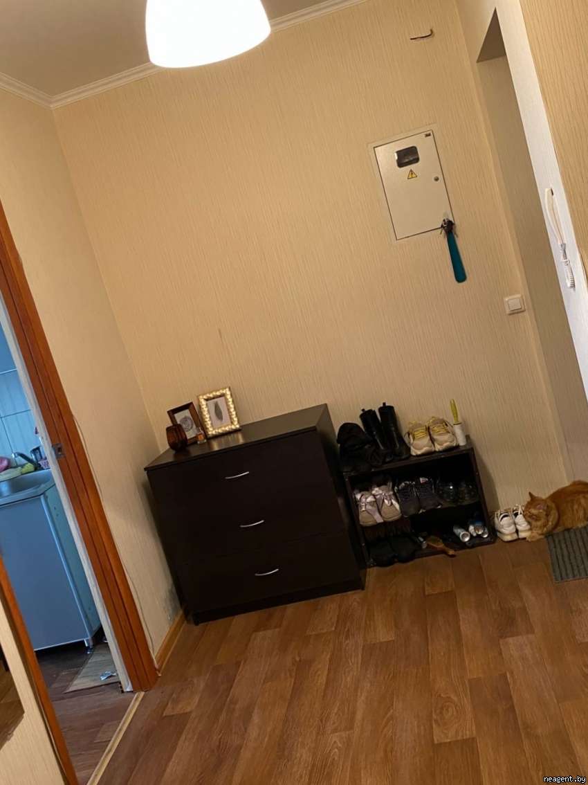 1-комнатная квартира, Хлюпина, 6, 350 рублей: фото 1