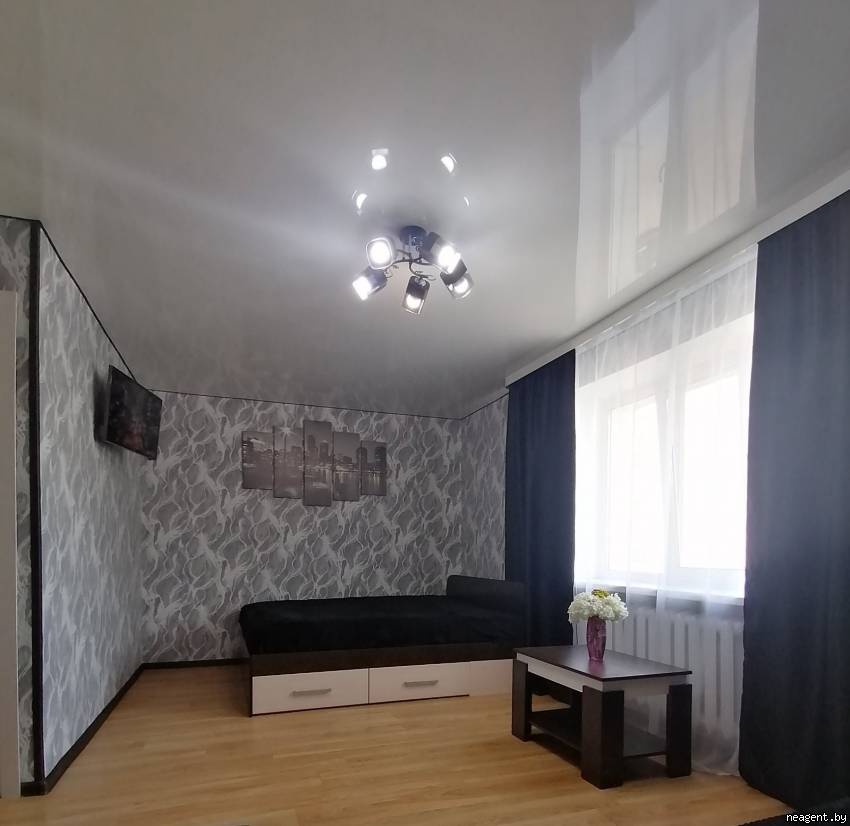 1-комнатная квартира, ул. Владимира Ленина, 52, 60 рублей: фото 4