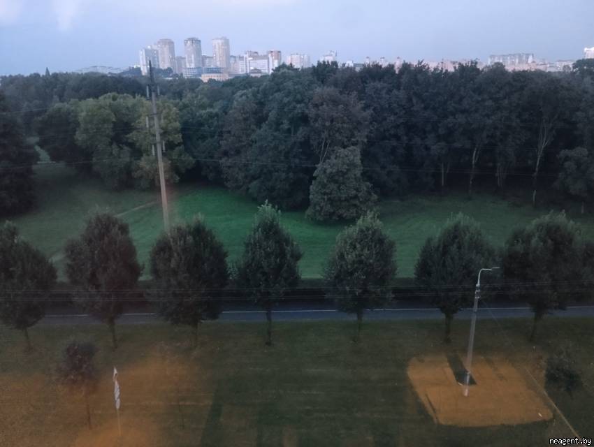 1-комнатная квартира, ул. Карастояновой, 29, 961 рублей: фото 10