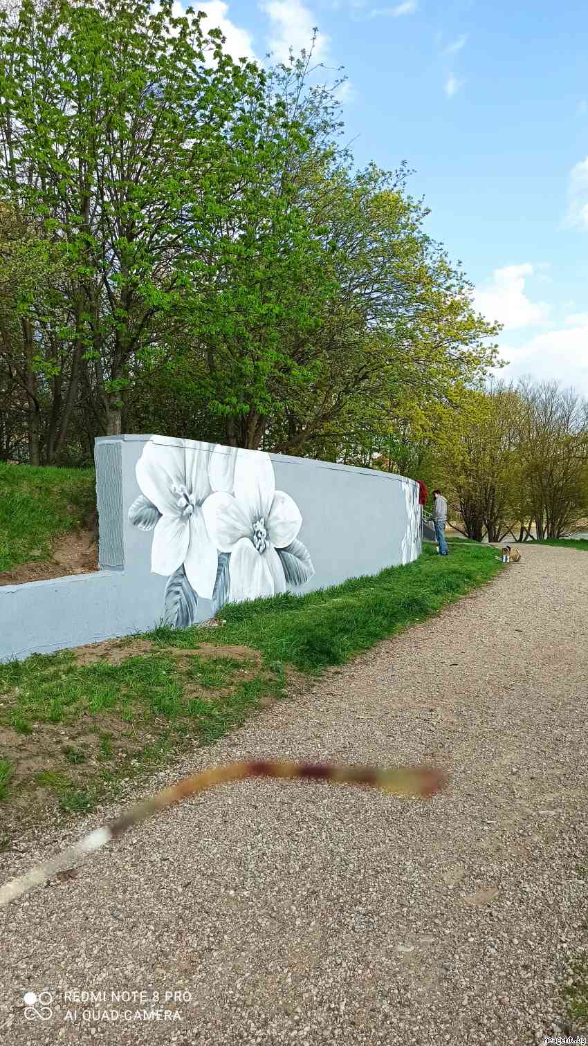 1-комнатная квартира, ул. Брестская, 70/4, 800 рублей: фото 16